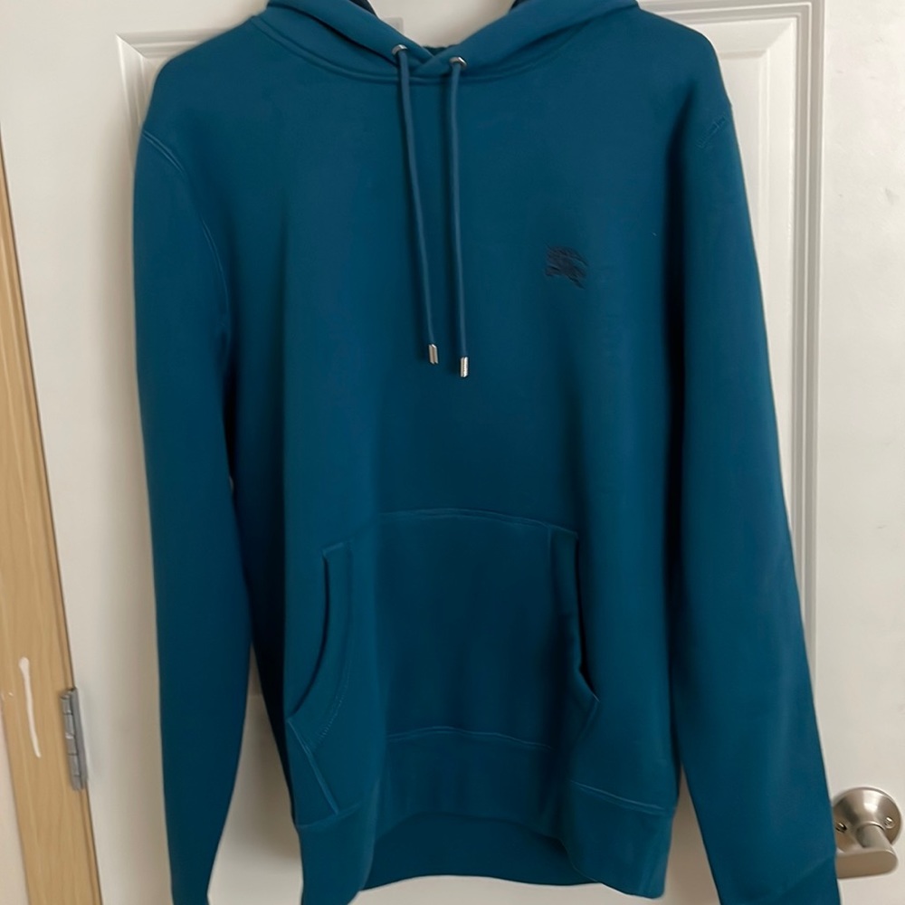 Burberry teal hoody. Never worn tags still on it. Mens medium.